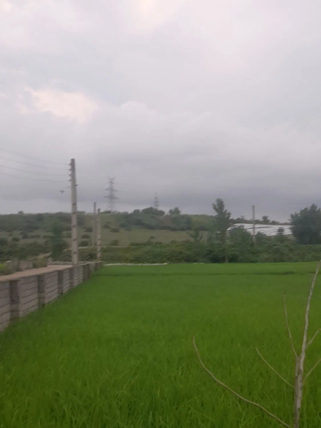 زمین ۹۸۵متر