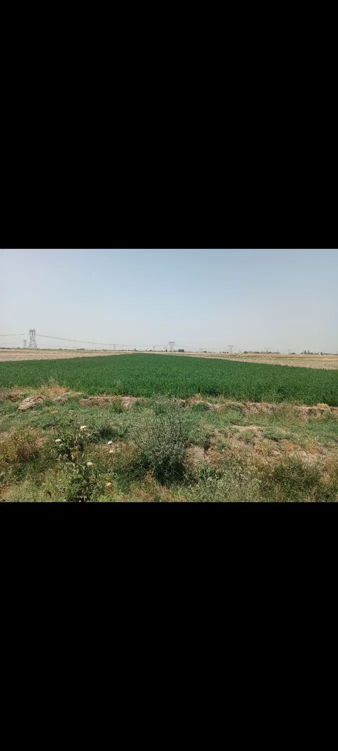زمین کشاورزی نزدیک جاده حرم تا حرم آبباریک