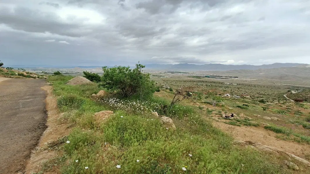 فروش ملک انجیر
