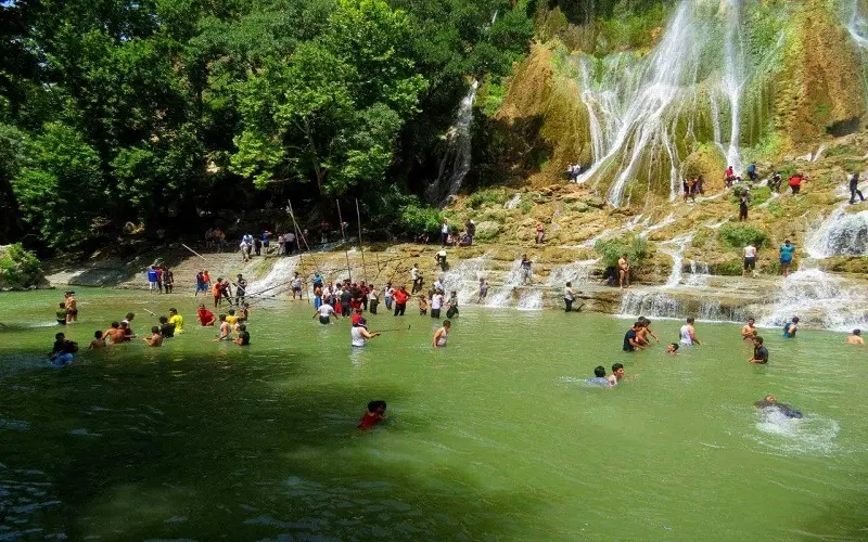 زمین بیشه
