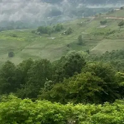 زمین شمالی  دونبش