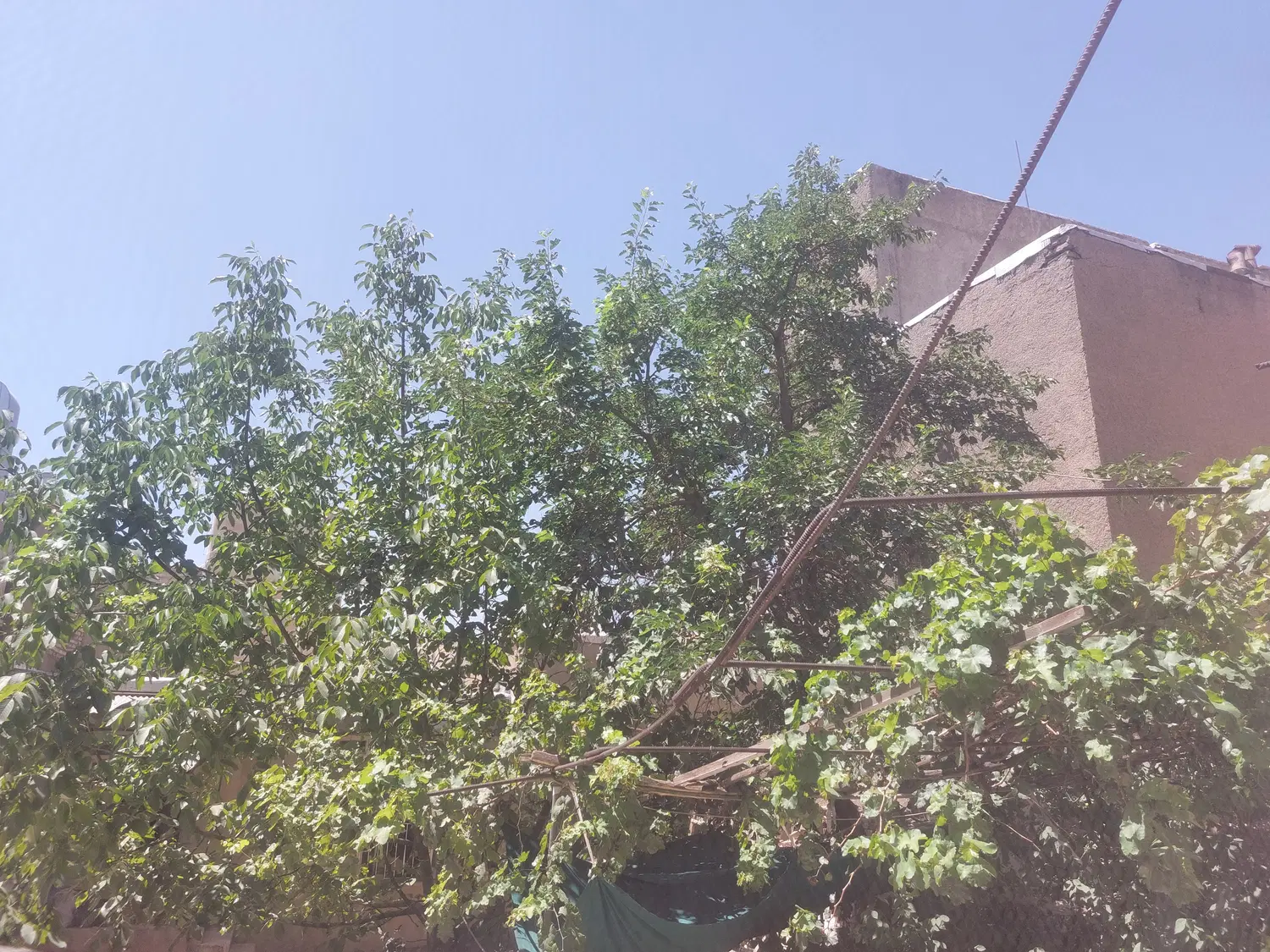 اجاره انبار تجاری