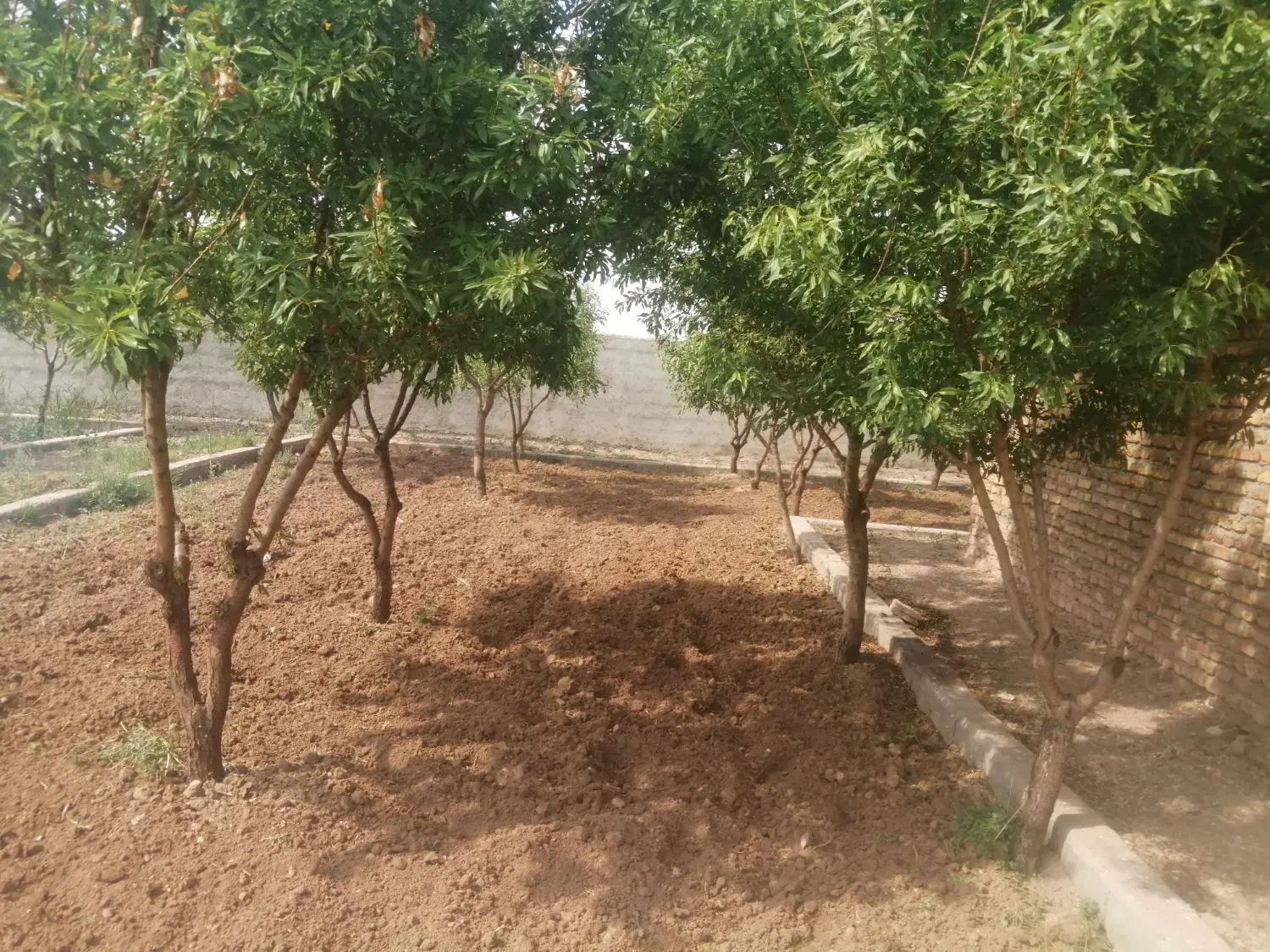 اجاره خانه مسکونی در قراملک