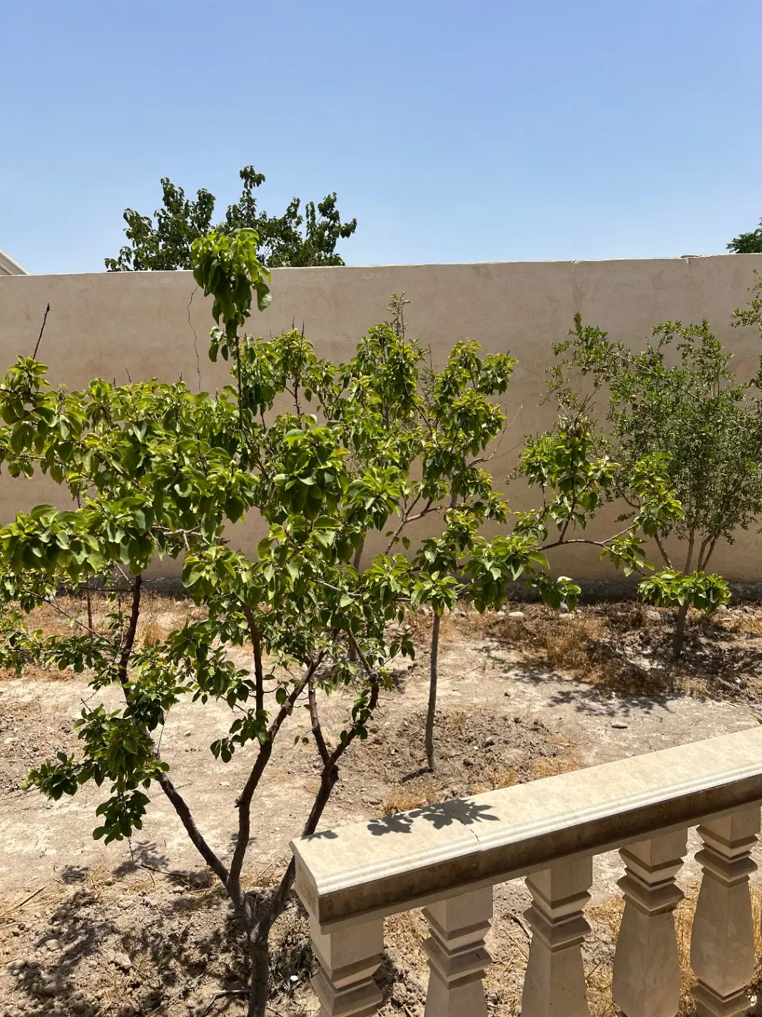 ۷۰۰ متر باغویلا سند دار استخر درختان کهن