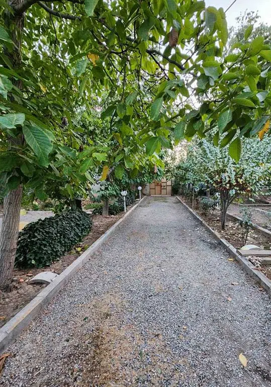 فروش باغچه