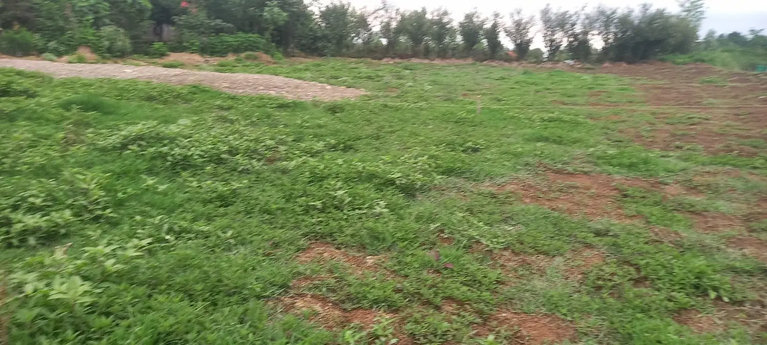۱۰۳۰ متر زمین مسکونی گیلان