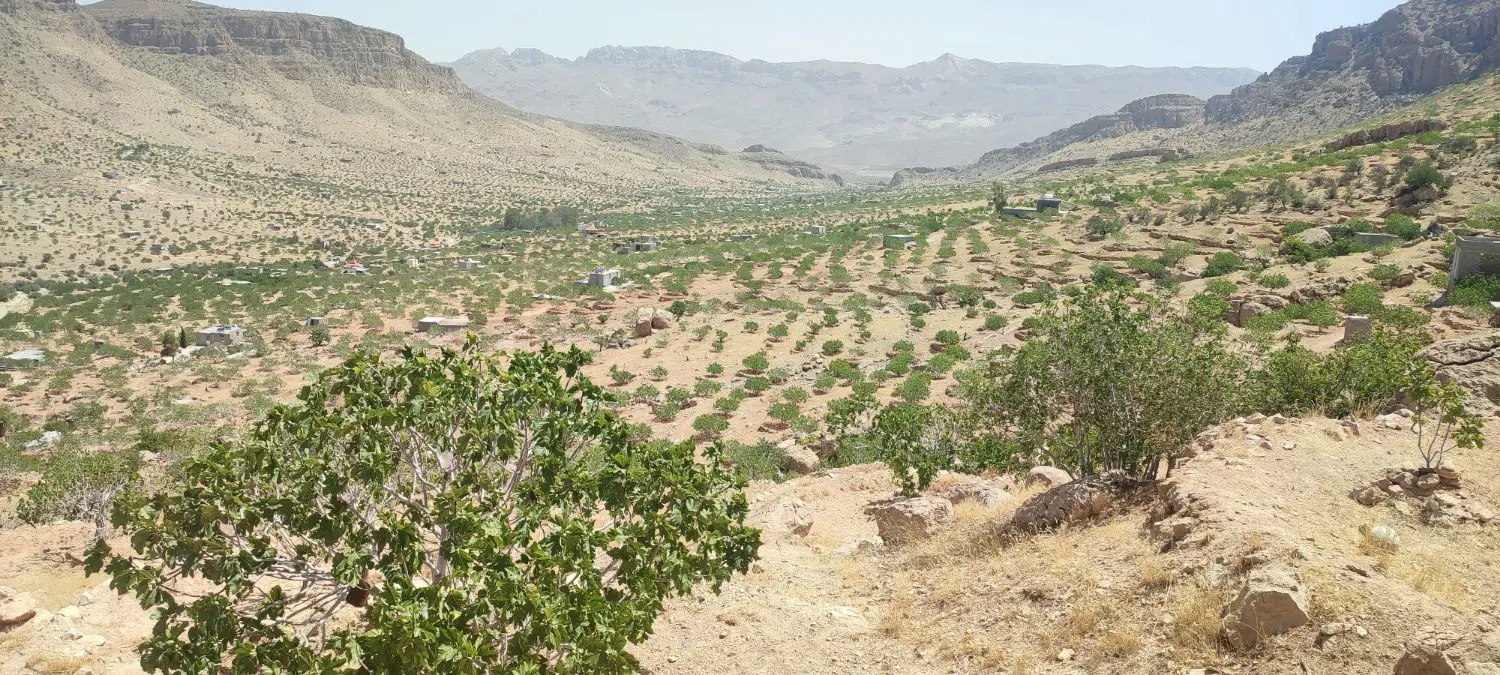 ملک پلنگان