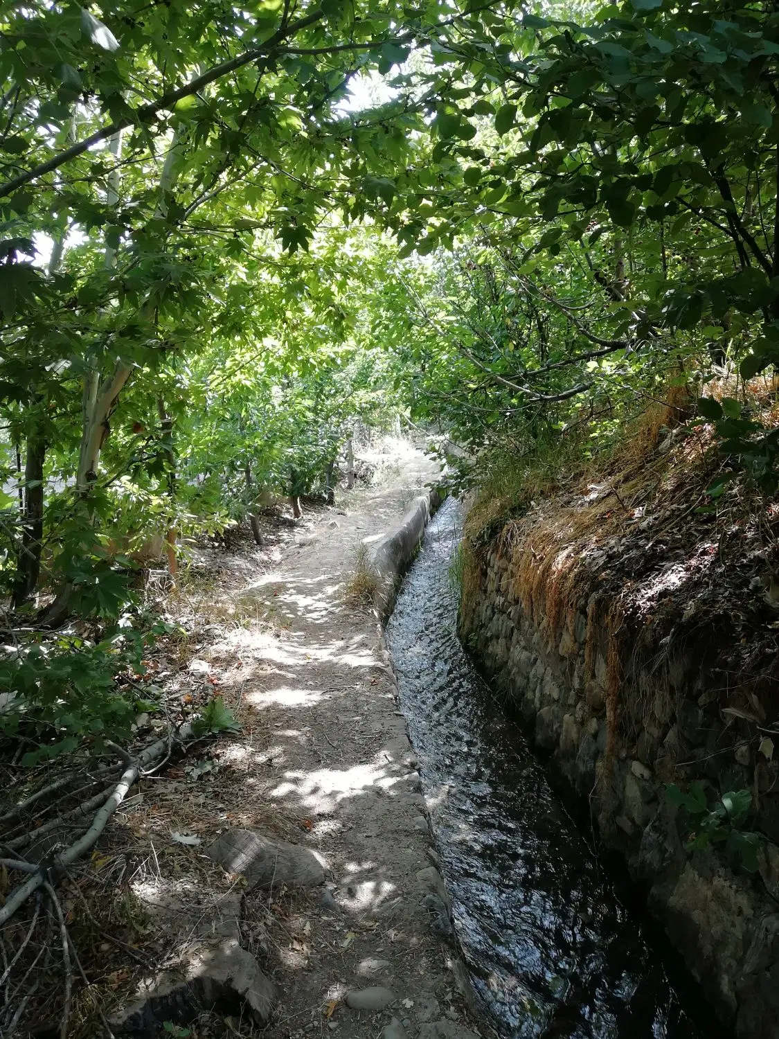 باغ در بوژان نیشابور