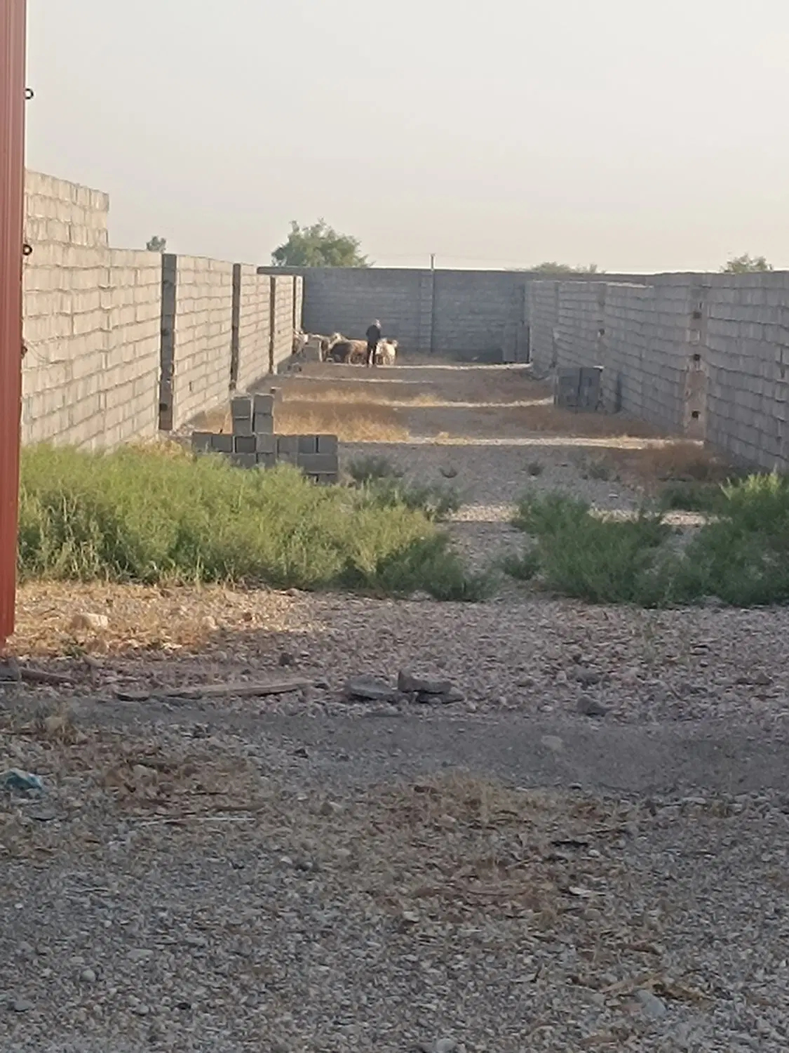 زمین و چهار دیواری نقلی