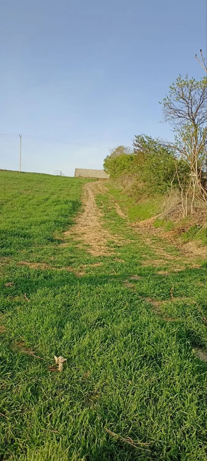 فروش زمین