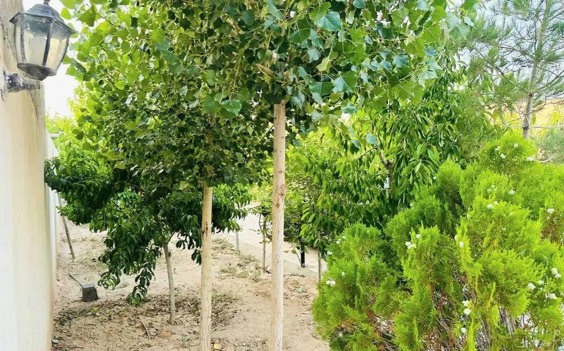 فروش باغ ویلای شیک