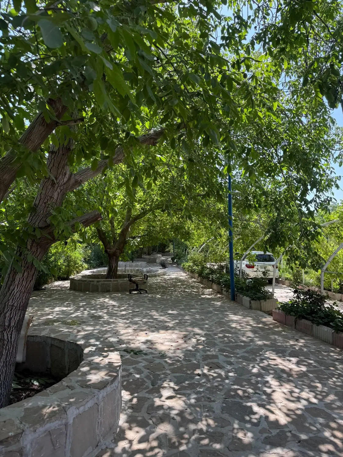باغ سپیدار یاسوج