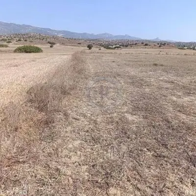 زمین مسکونی