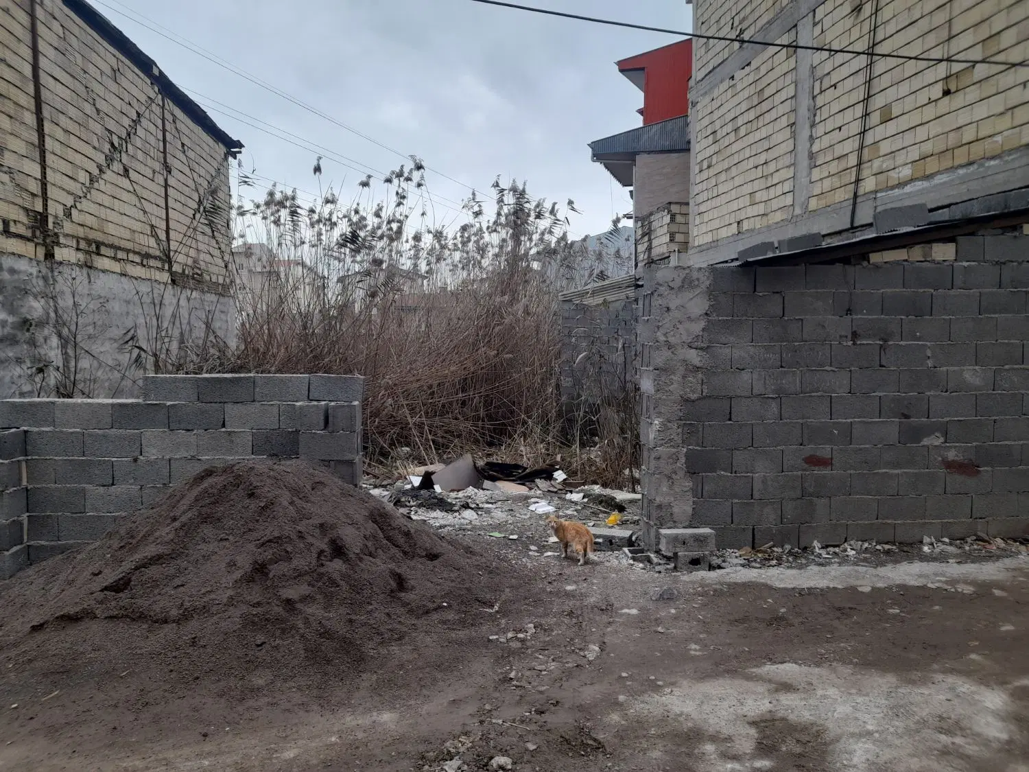 زمین ۱۵۰متر برای مشارکت