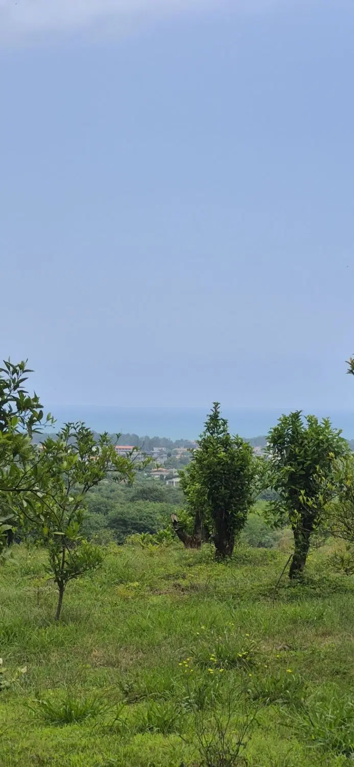 زمین باغی