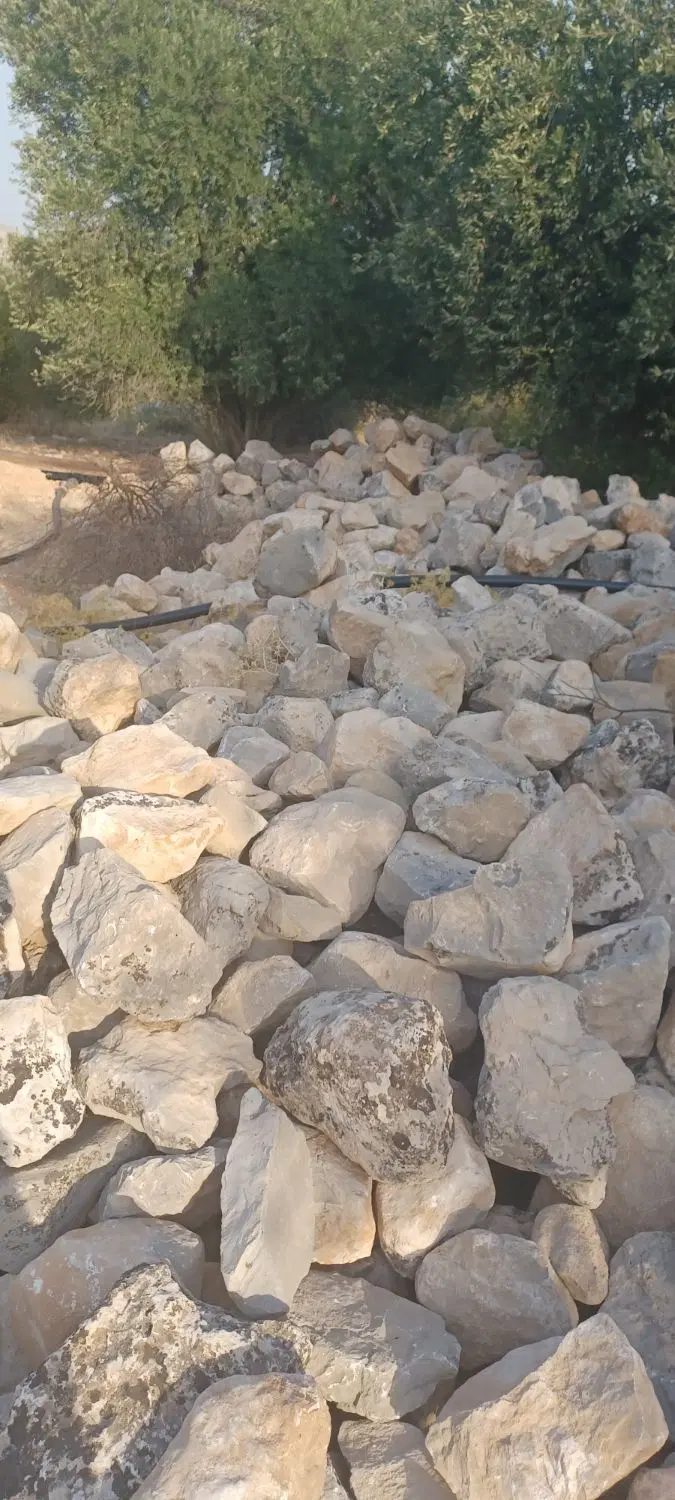 زمین به متراژ ۲۴۰۰ متر در پاکو بعد از باشت