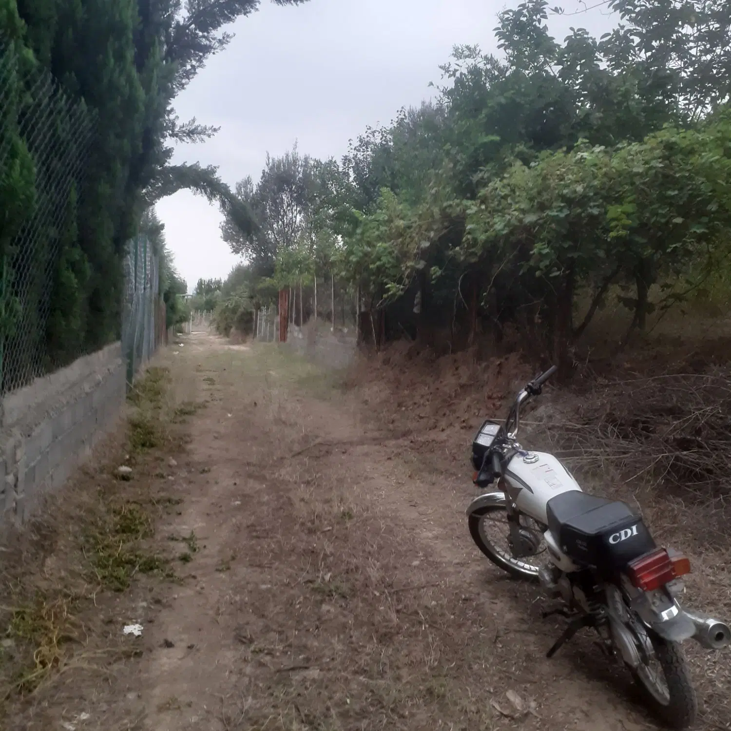 زمین روستای باغ گلبن