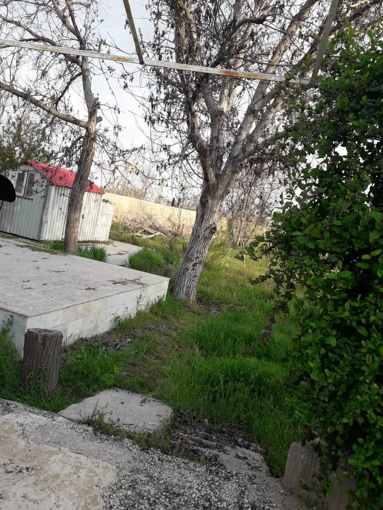 کردان باغ مشجر میوه