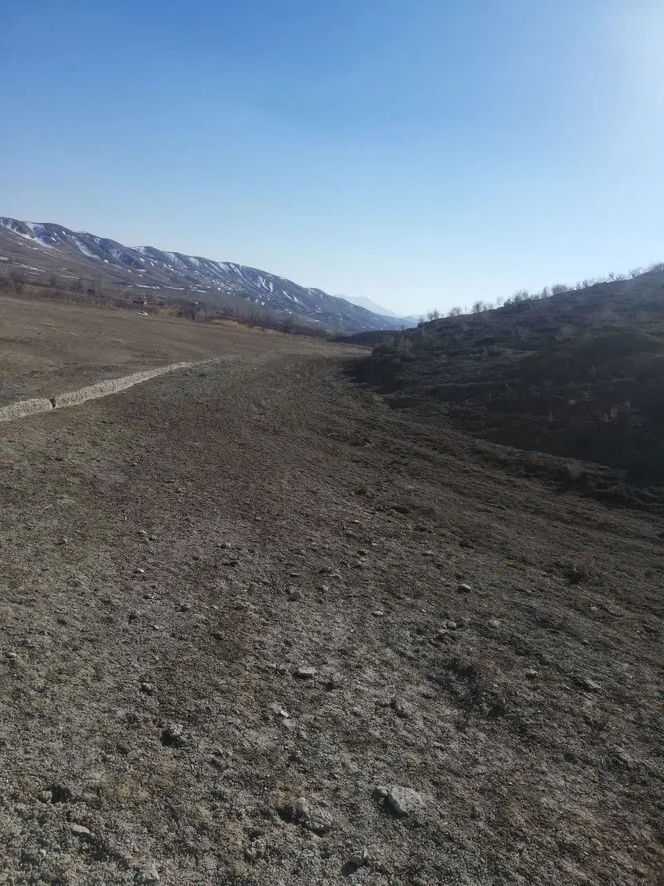زمین در زرگره روستای بادرود پایین انوچ