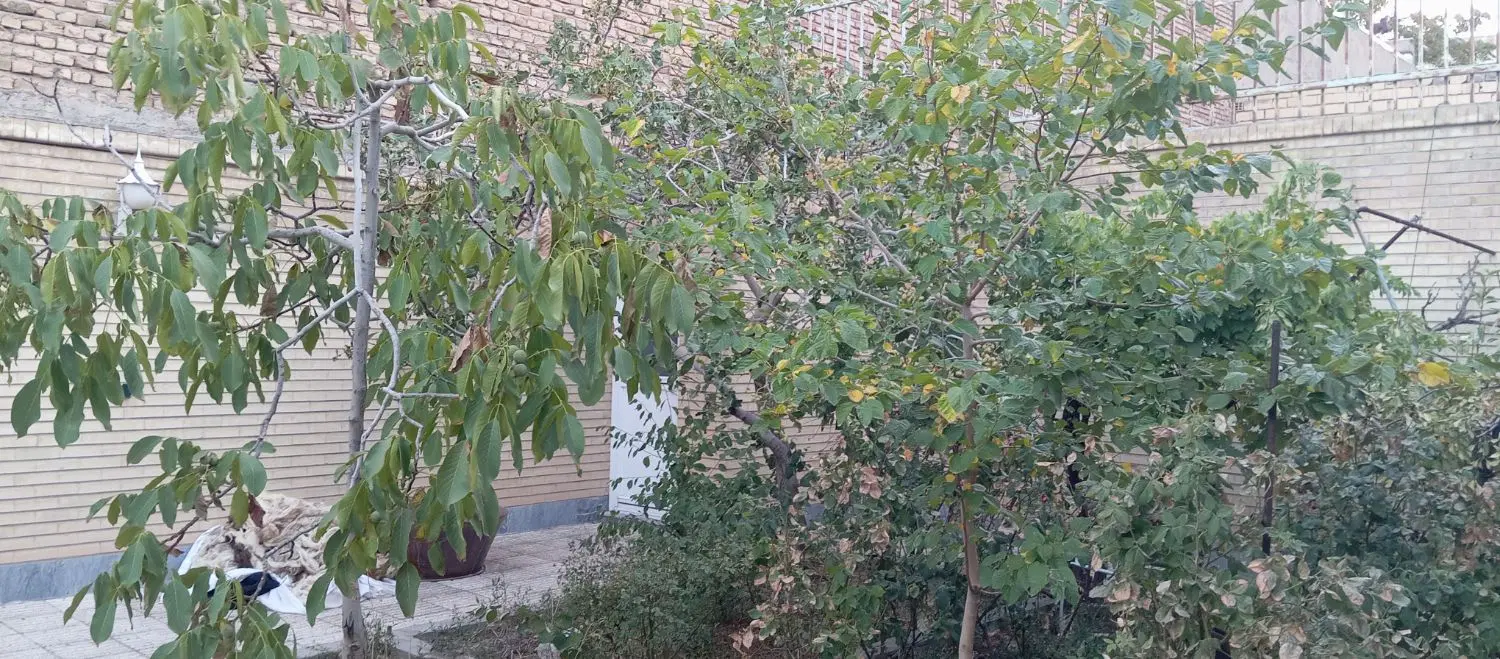 فروش حیاط ویلایی جنوبی ۳‌خواب فاز۱ سهند