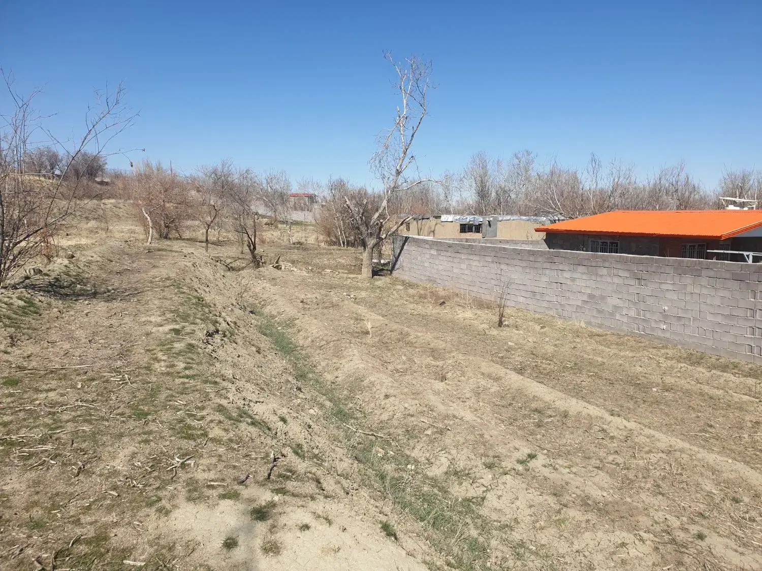 زمین باغی در ابشینه