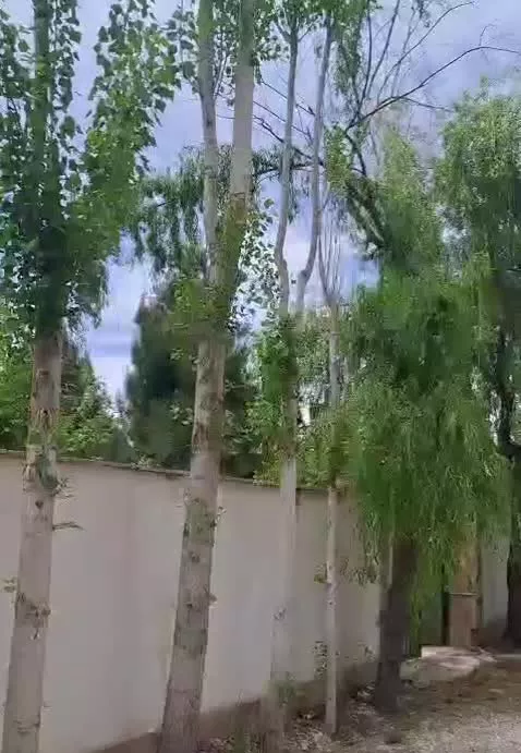 ویلا شهرکی ۵۰۰متری سند دار استخردار مشجر سهیلیه