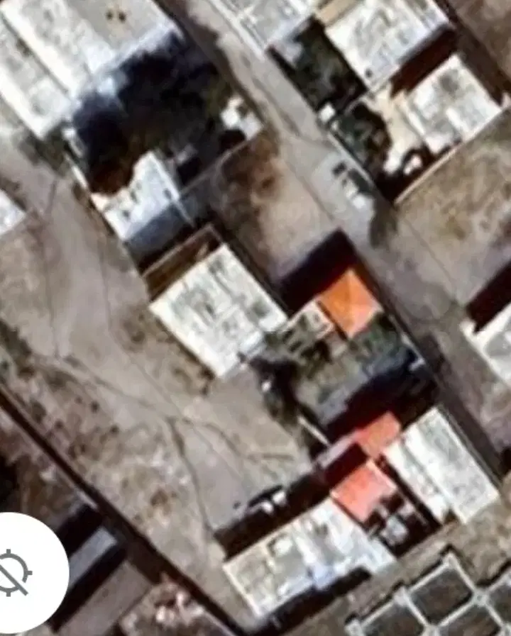 زمین در شام اسبی