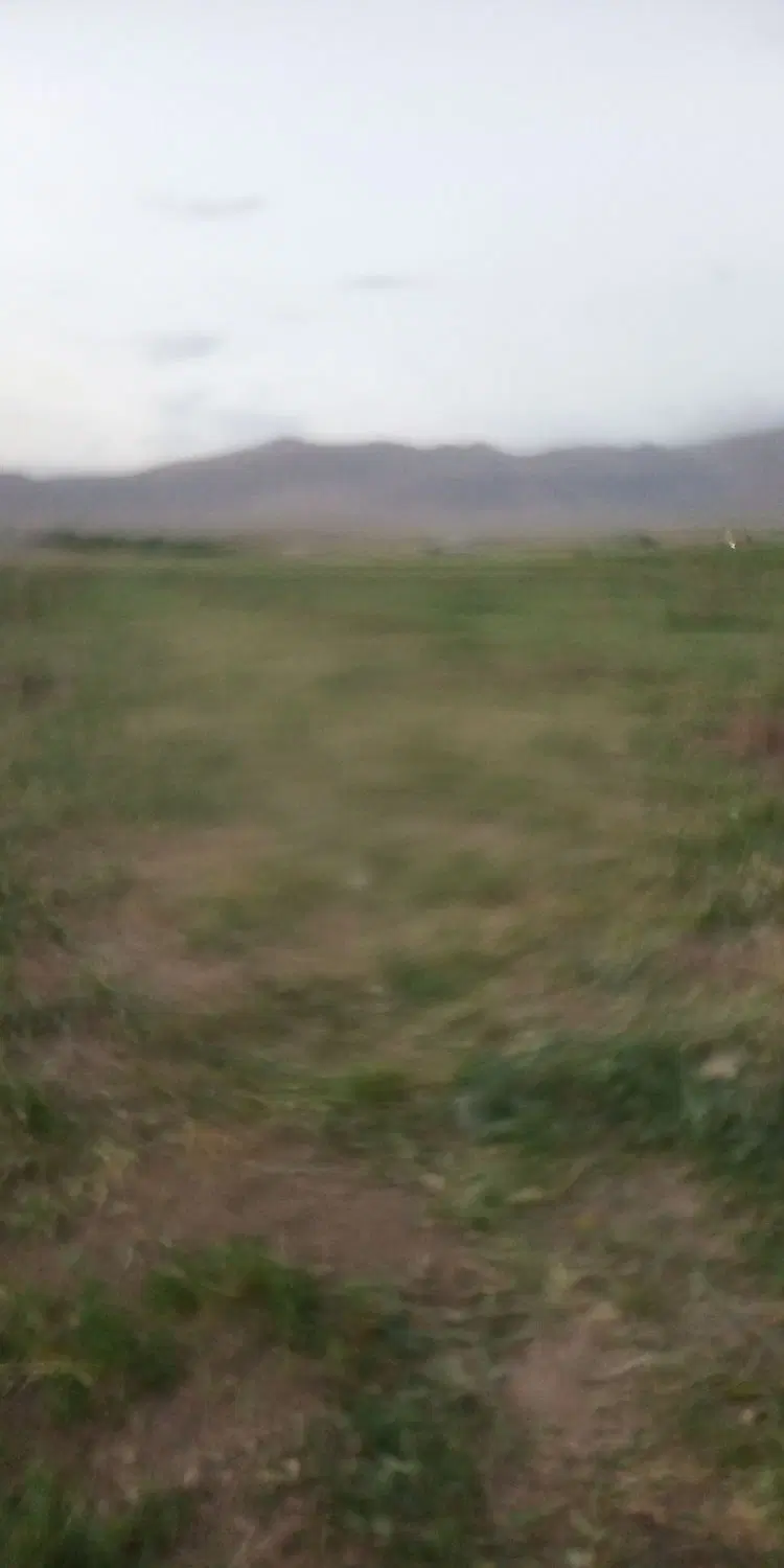 زمین کشاورزی