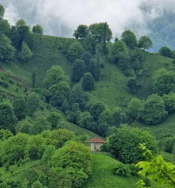 ۷۱۰ متر زمین دره جیر