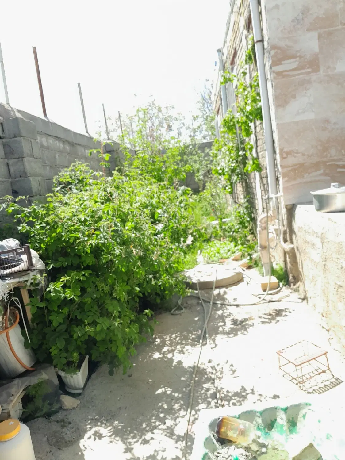 ویلا ۳۰۰ متری در روستای وشت