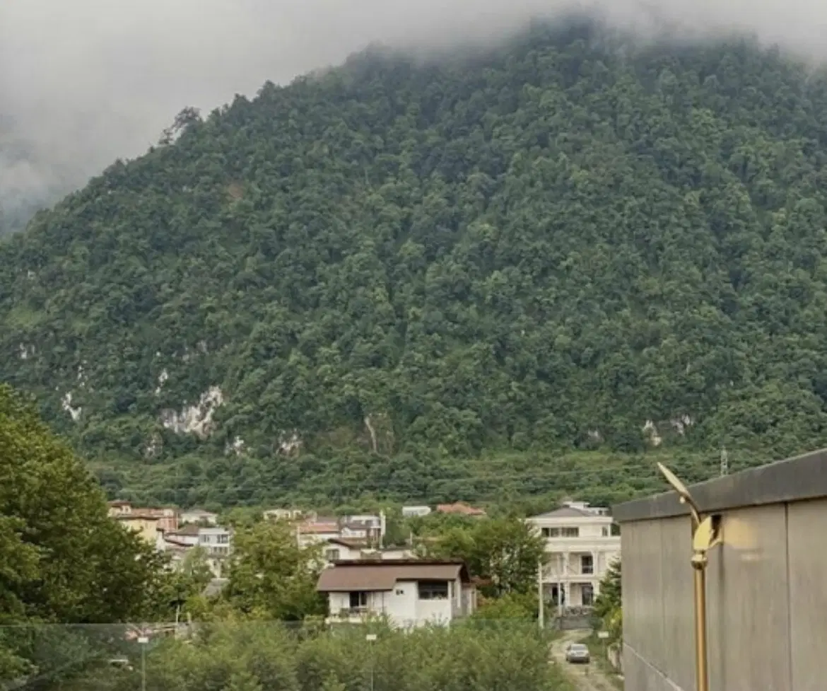 زمین روستایی جنگلی تو باف