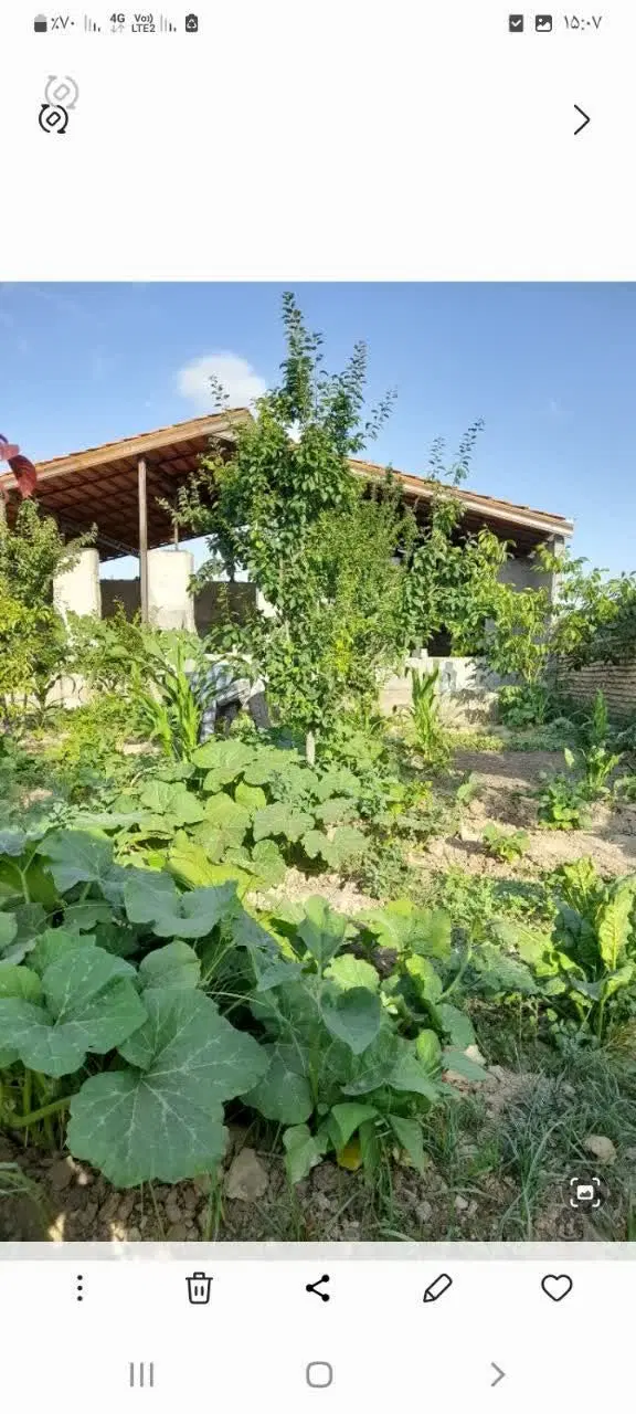 باغ ۵۰۰متری ملکی