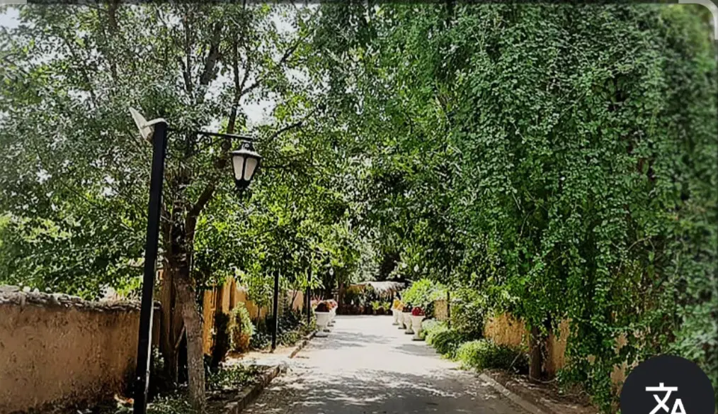 ۵۰۰ متر باغچه