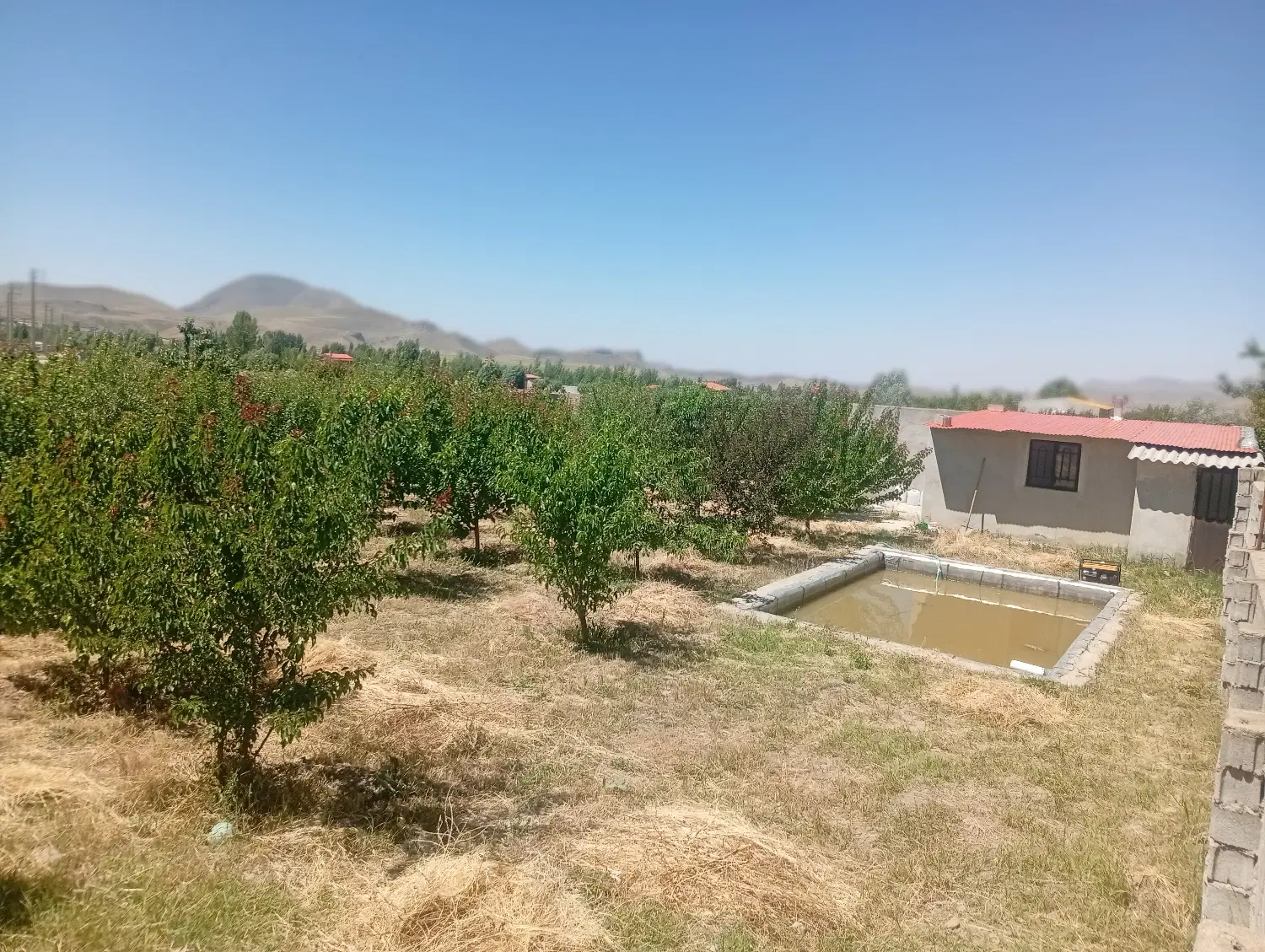 705متر در کوی شهریار