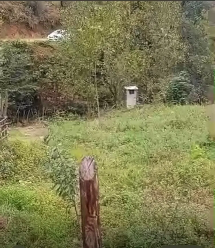 فروش زمین ۵۰۰متری درشفت روستایی چنار رودخان