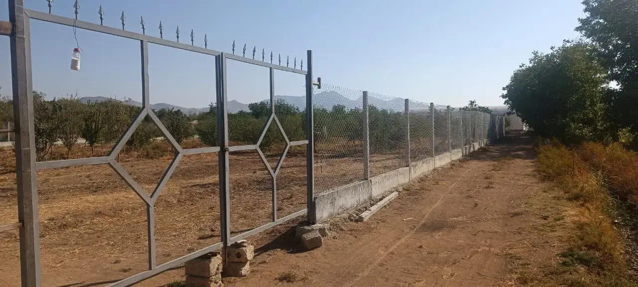 باغ زمین ویلایی کشاورزی