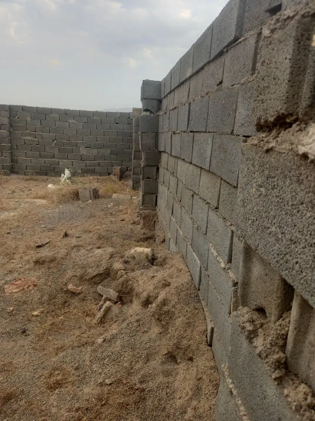 فروش زمین مصلی