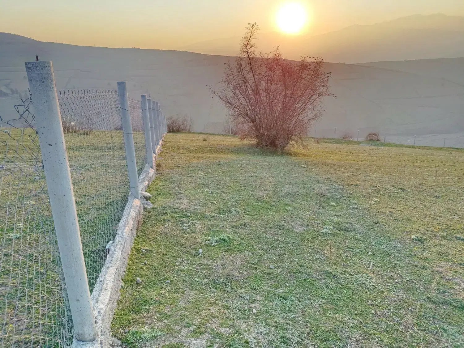 زمین کشاورزی