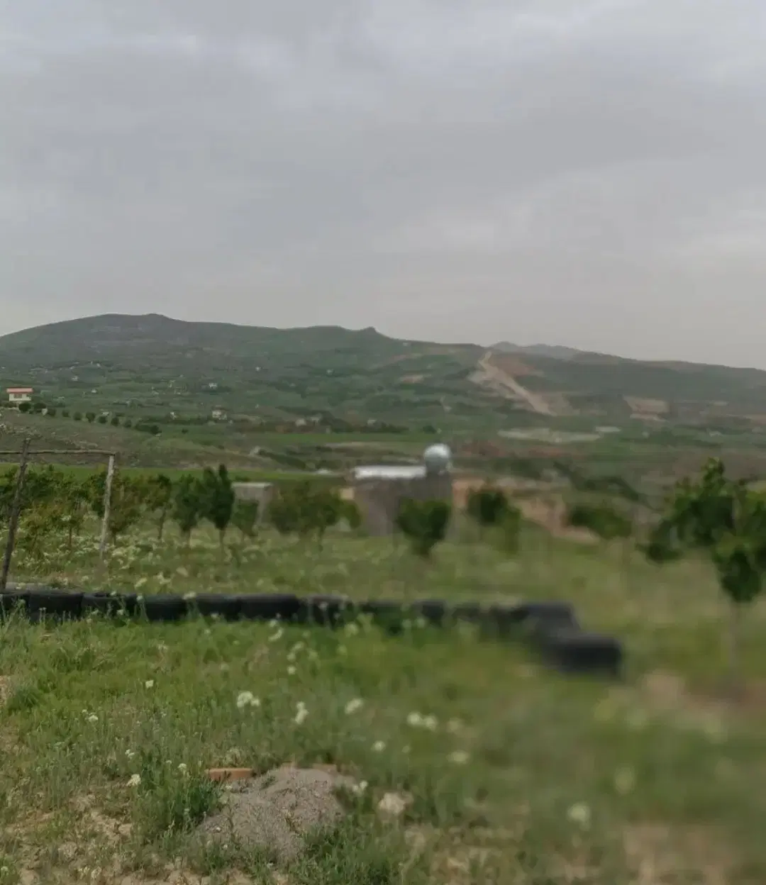 زمین
