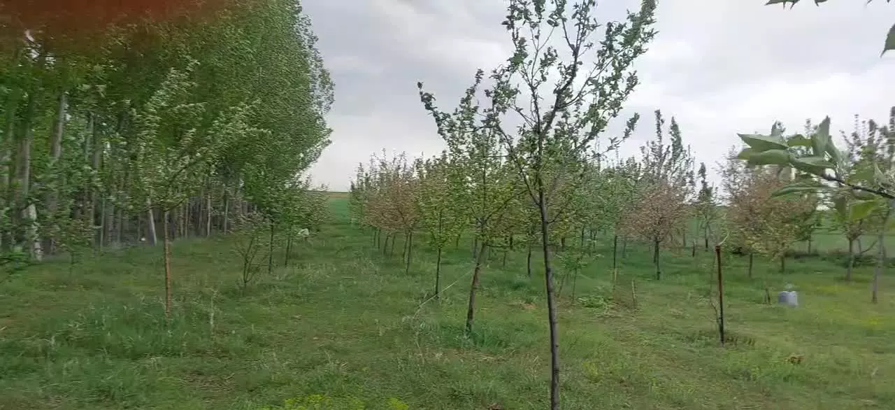 باغ ۳۰۰۰ متری