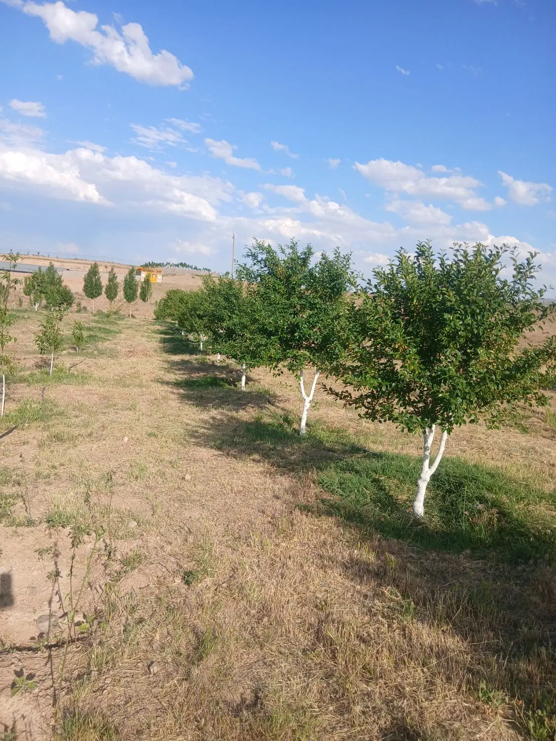 خانه روستا