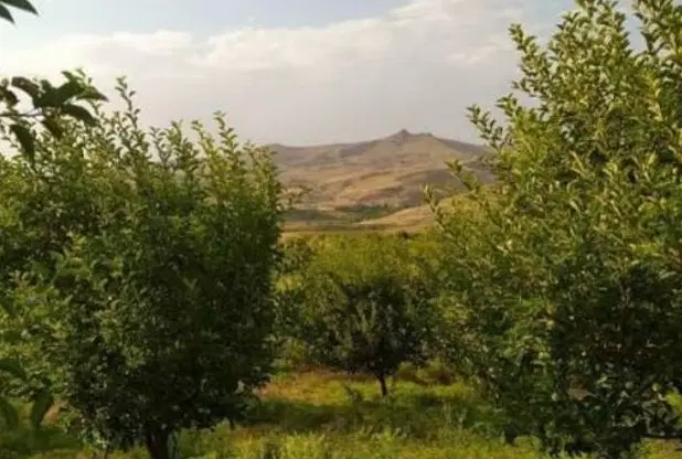 باغ1000متری روستای تاف
