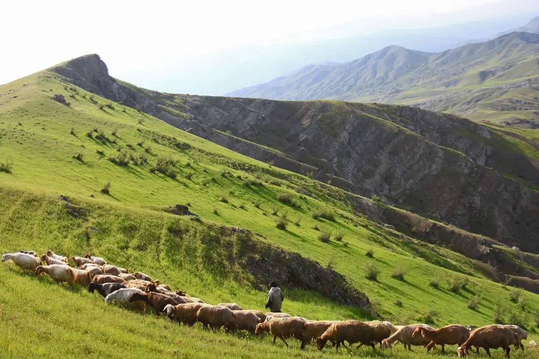 خانه ویلایی