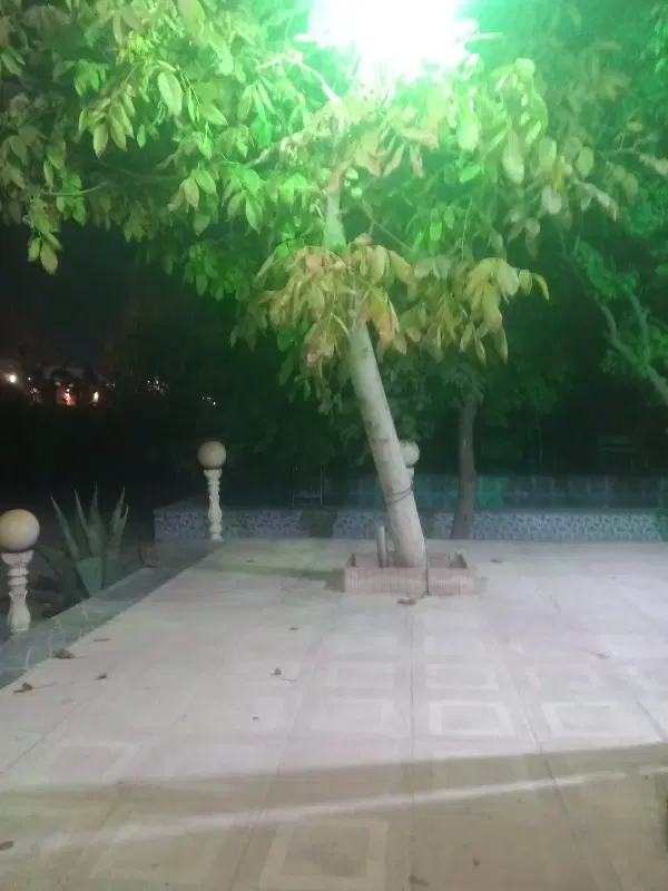 باغ فلاورجان