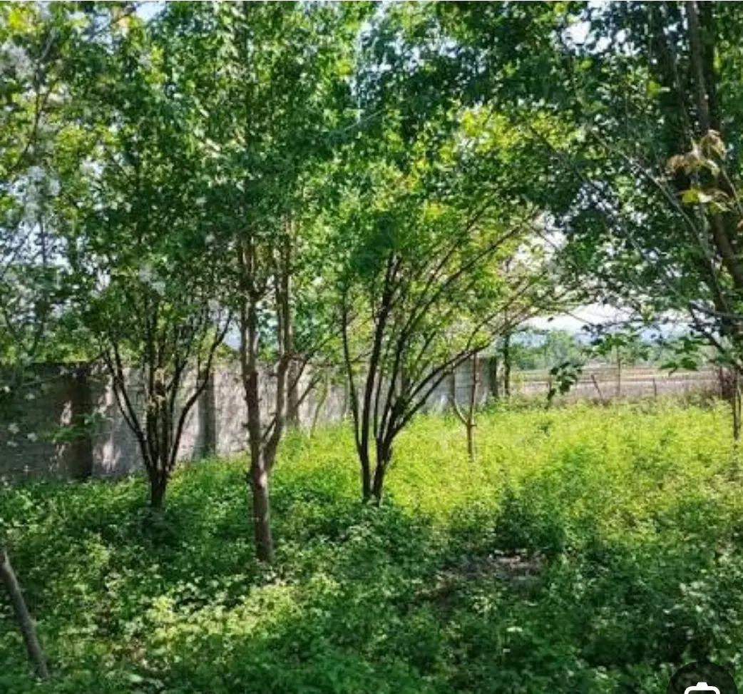 قطعه زمین ویلایی