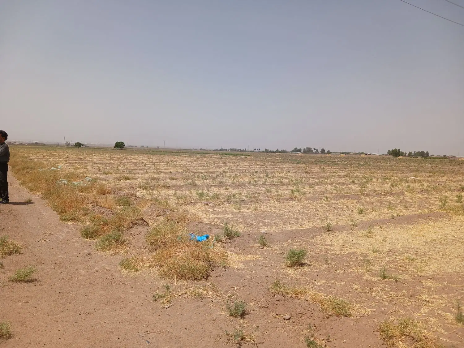 فروش زمین