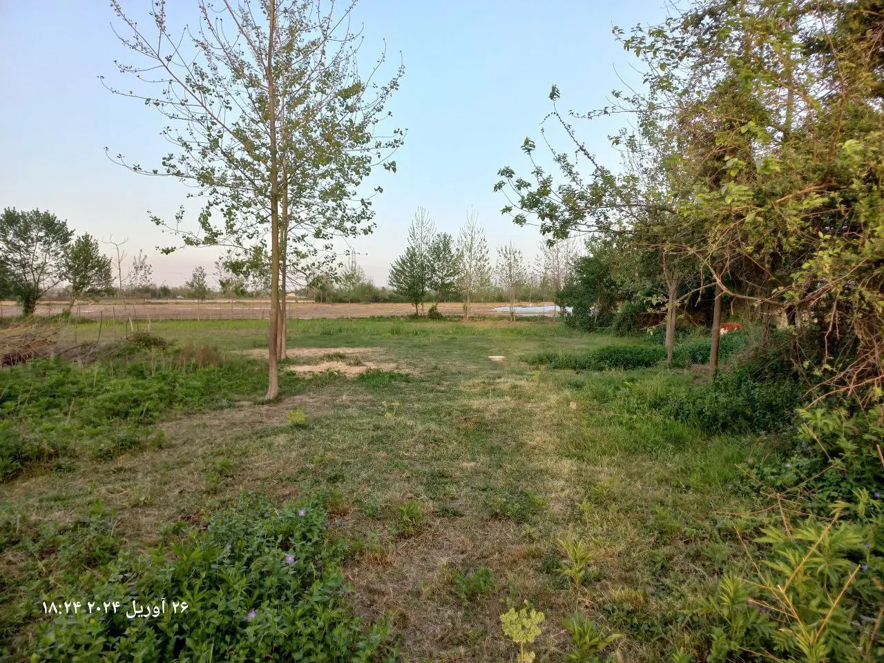 ۱۵۰۰ متر زمین با کاربری مسکونی