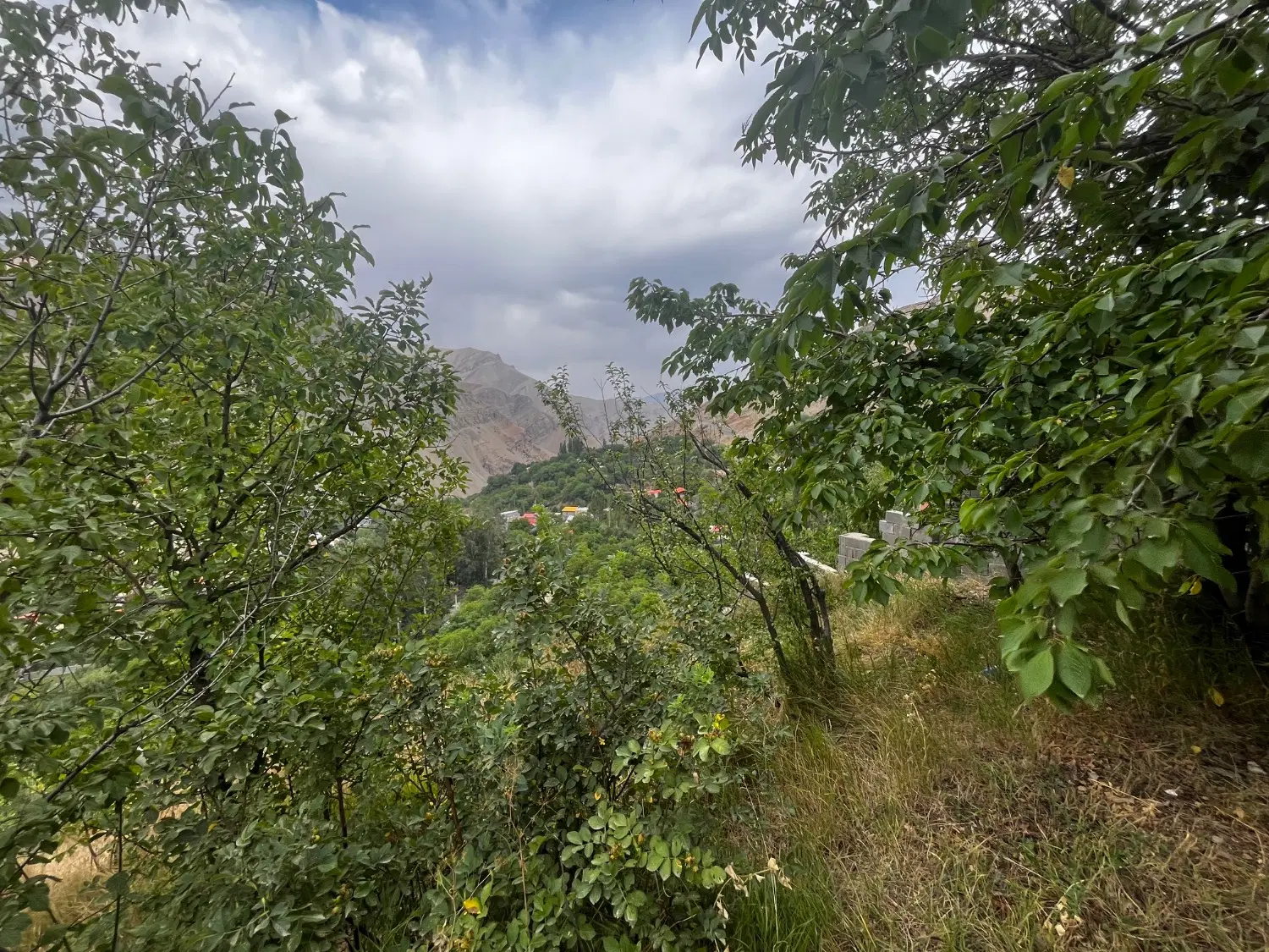 زمین جاده چالوس (روستای زیبای لیلستان)