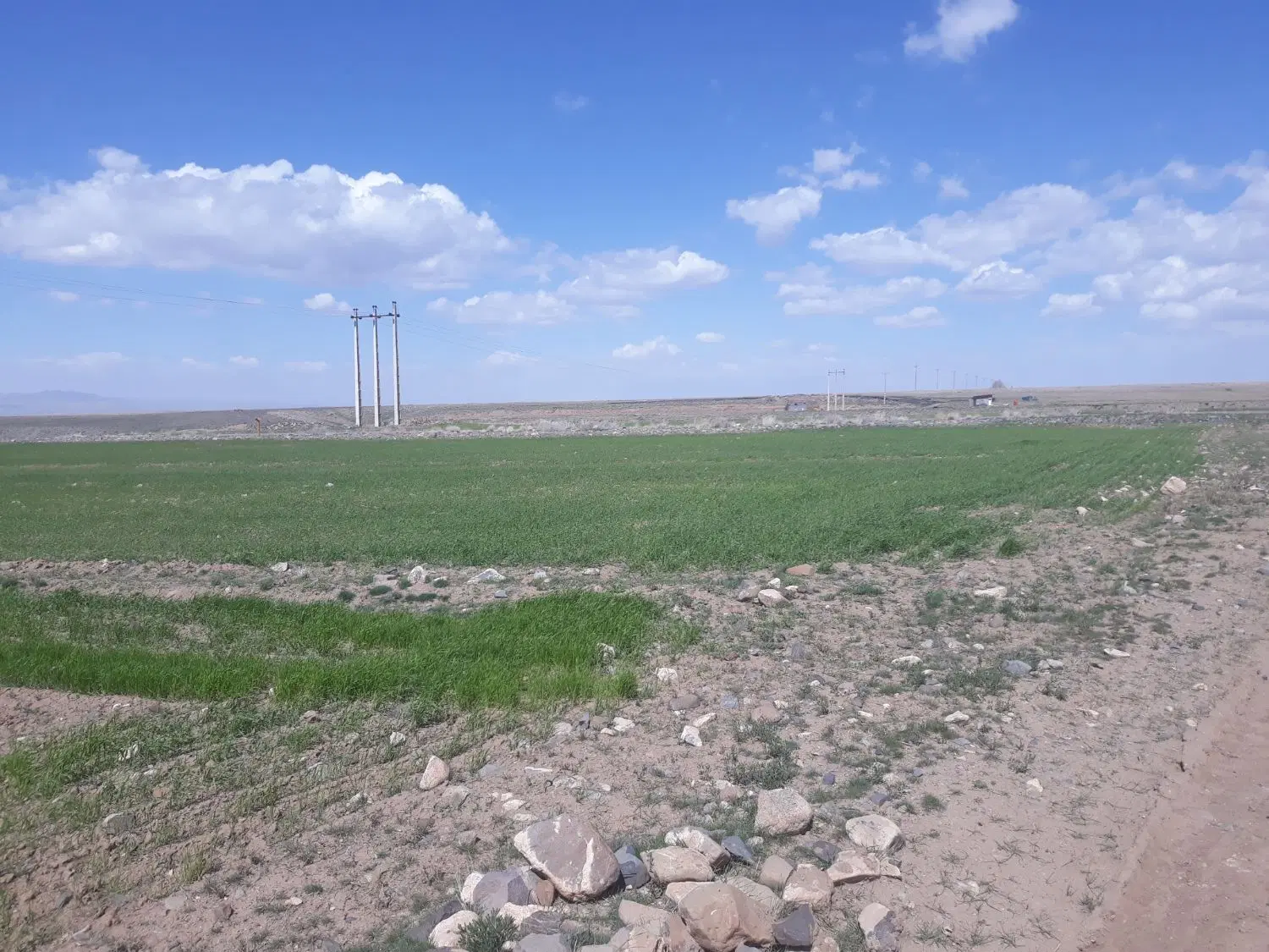 زمین کشاورزی