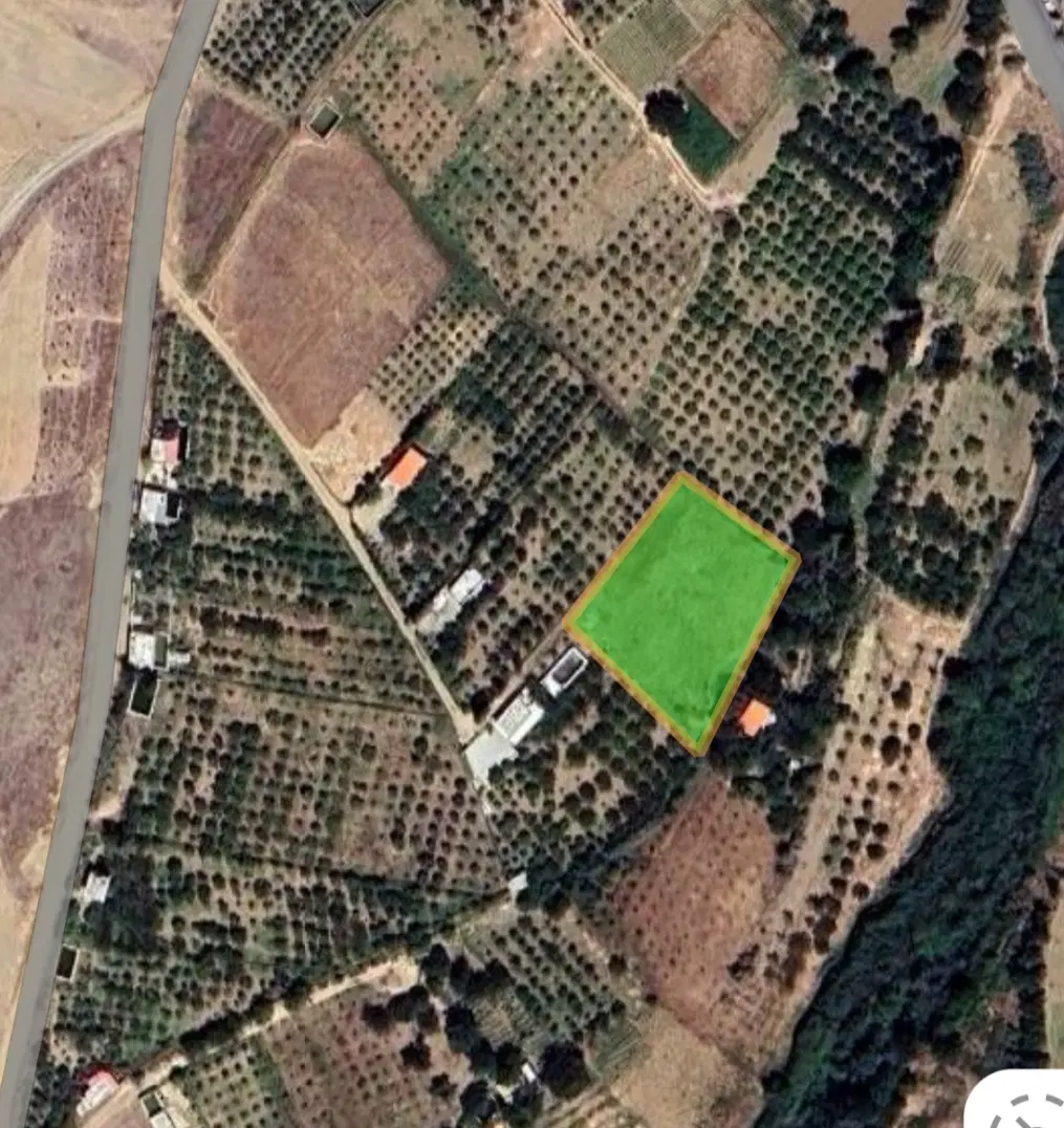 فروش زمین باغ در اراضی روستای قلیان